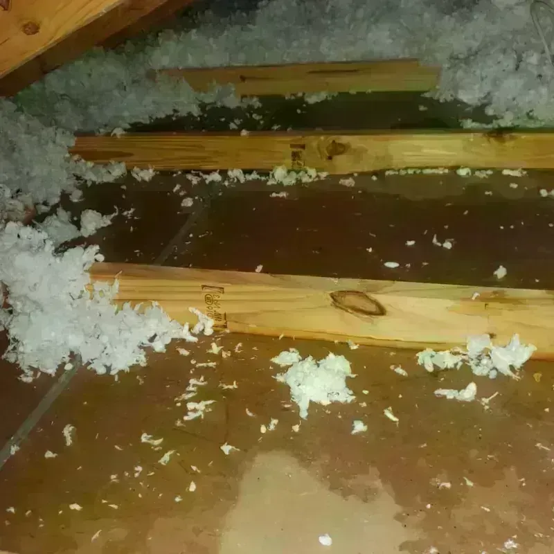 Attic Water Damage in Slatington, PA